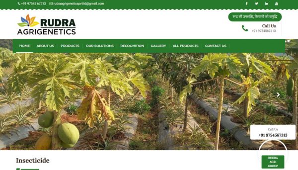 Rudra Agri Groups, website company design in raipur