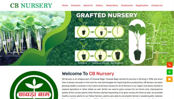 CB Nursery, website company design in raipur