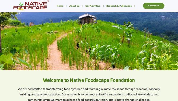 Native Foodscape Foundation, website company design in raipur