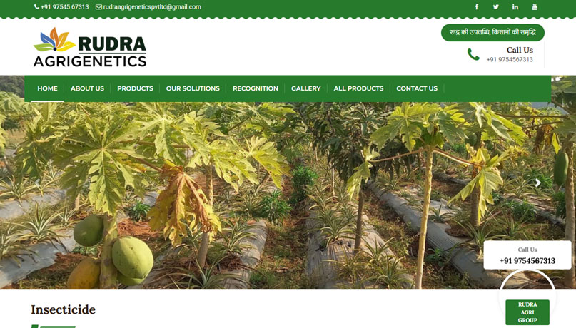 web designer in raipur